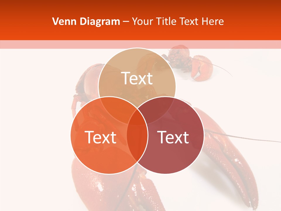 Crayfish Shellfish Idea PowerPoint Template