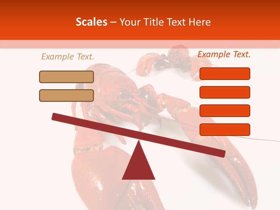 Crayfish Shellfish Idea PowerPoint Template