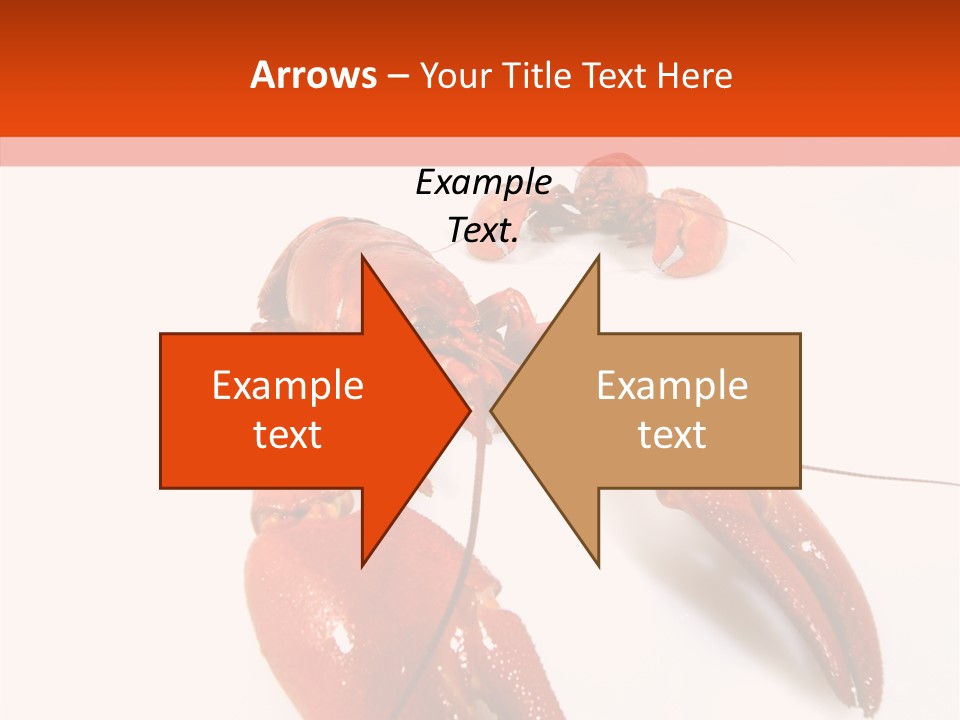Crayfish Shellfish Idea PowerPoint Template