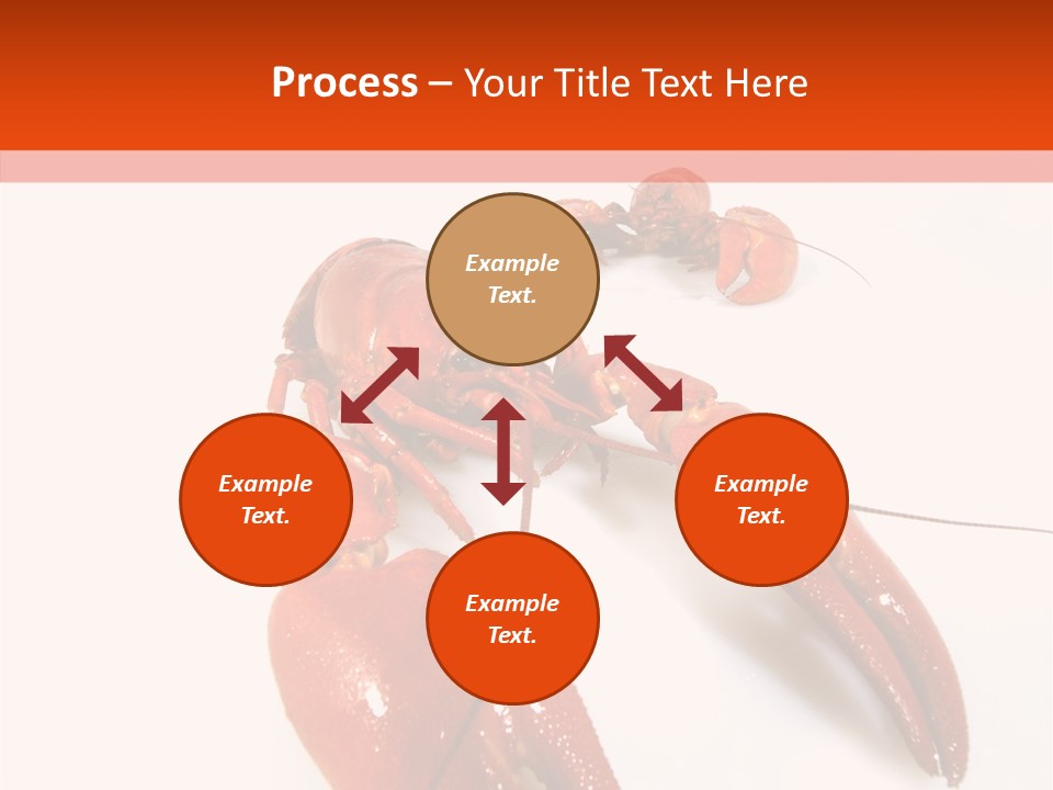 Crayfish Shellfish Idea PowerPoint Template