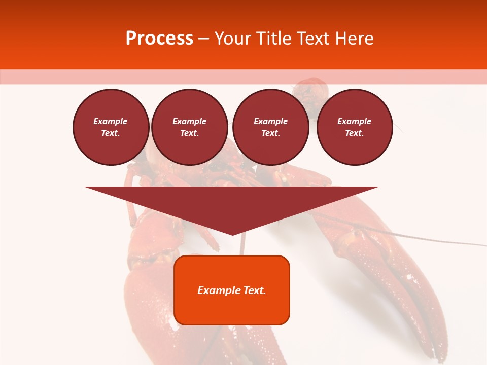 Crayfish Shellfish Idea PowerPoint Template