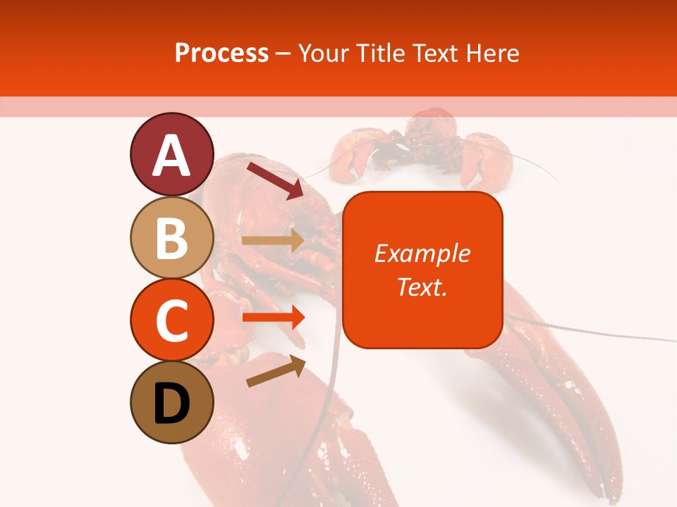 Crayfish Shellfish Idea PowerPoint Template