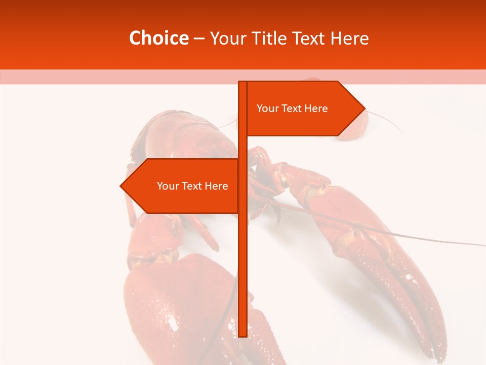 Crayfish Shellfish Idea PowerPoint Template