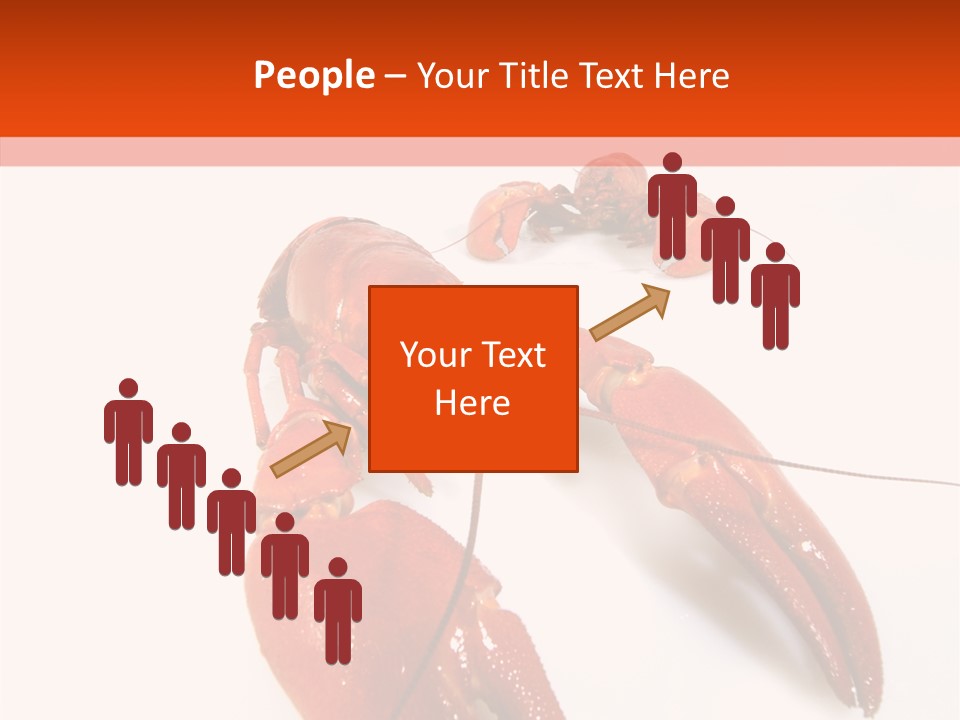 Crayfish Shellfish Idea PowerPoint Template