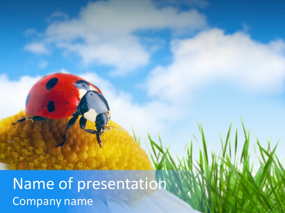 Spring Background Macro PowerPoint Template