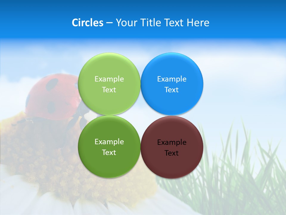 Spring Background Macro PowerPoint Template