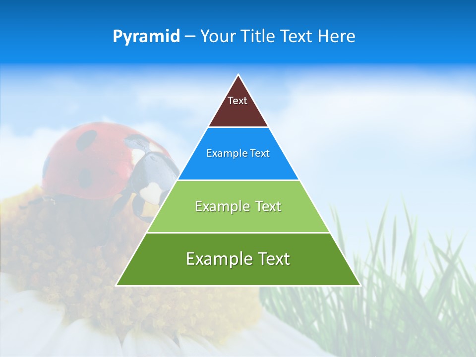 Spring Background Macro PowerPoint Template