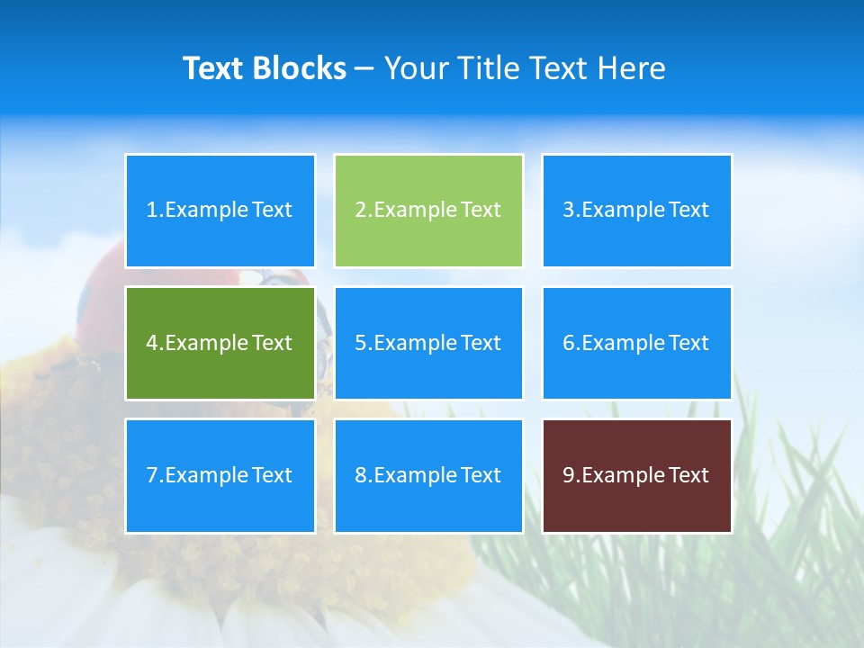 Spring Background Macro PowerPoint Template