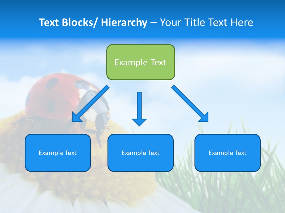 Spring Background Macro PowerPoint Template