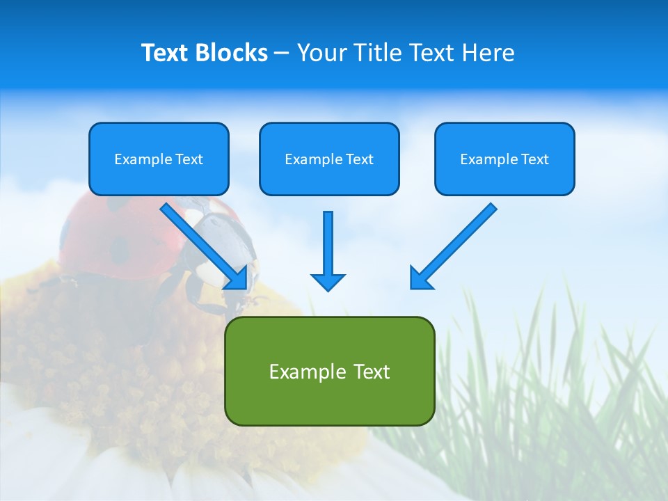 Spring Background Macro PowerPoint Template
