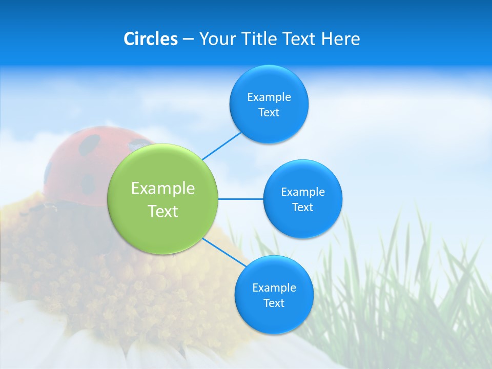 Spring Background Macro PowerPoint Template