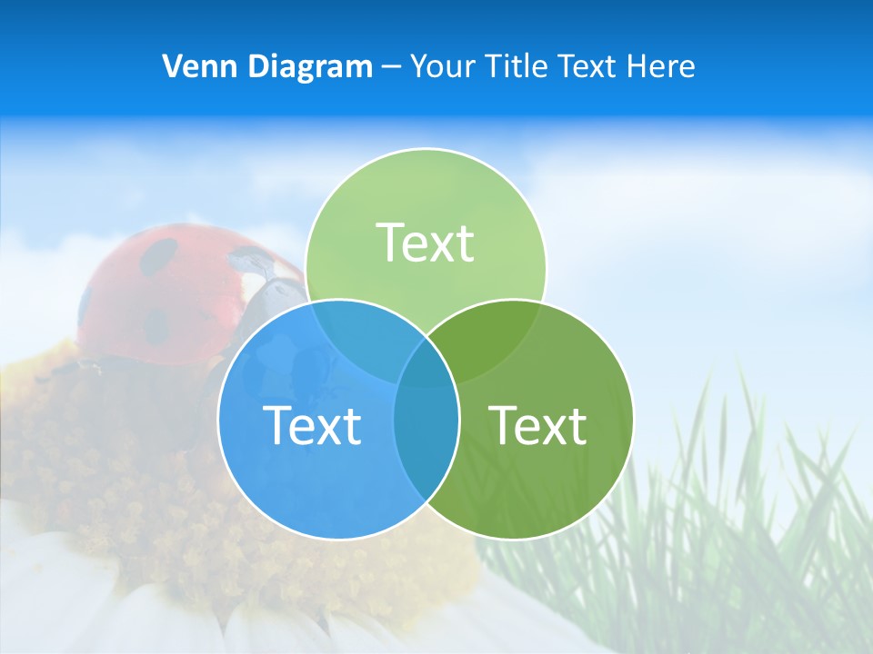 Spring Background Macro PowerPoint Template