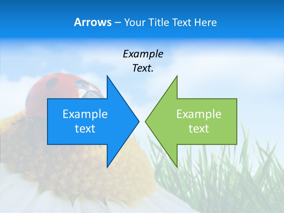 Spring Background Macro PowerPoint Template