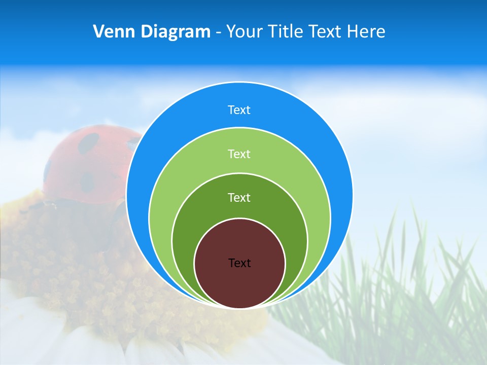 Spring Background Macro PowerPoint Template