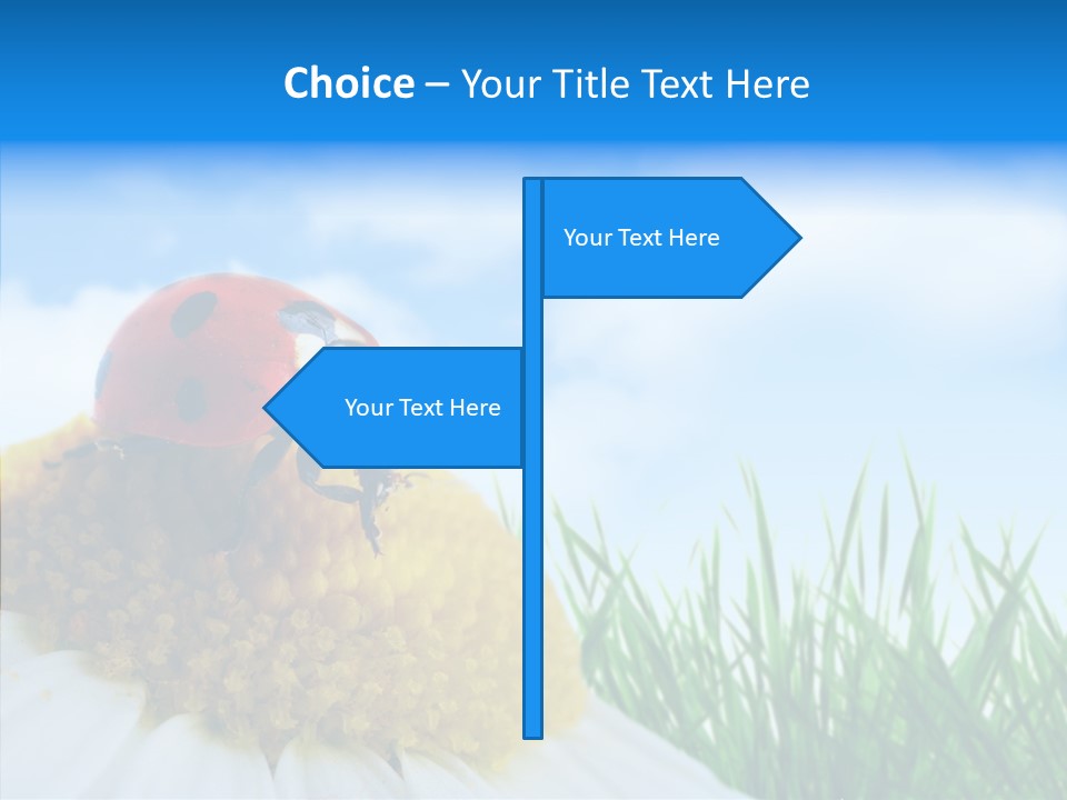 Spring Background Macro PowerPoint Template