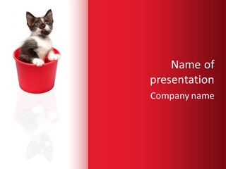Tabby Explorer Baby PowerPoint Template