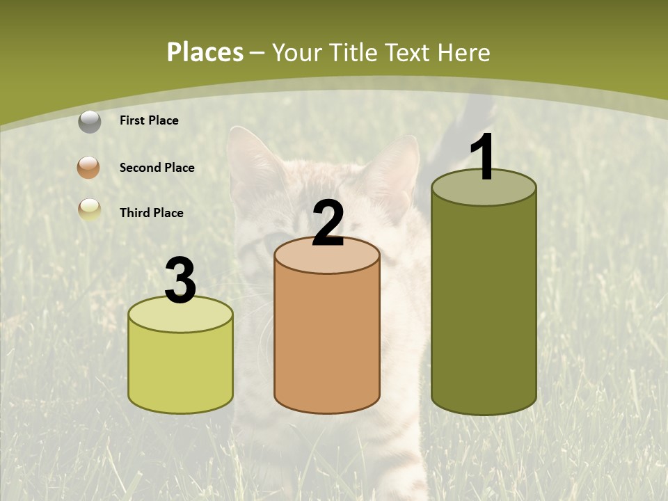 Tree Baby Breed PowerPoint Template