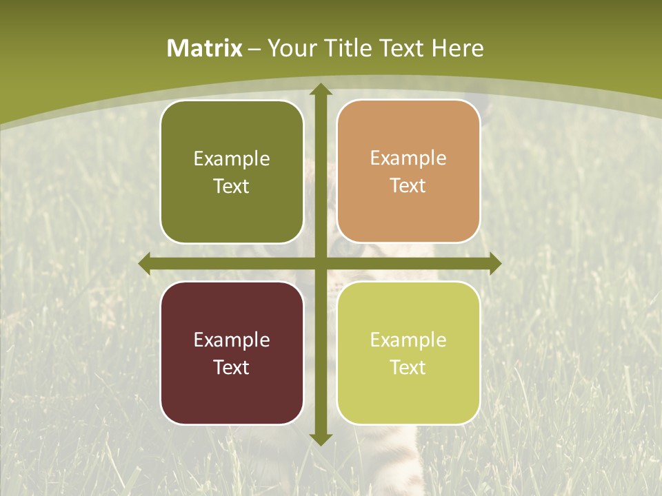 Tree Baby Breed PowerPoint Template