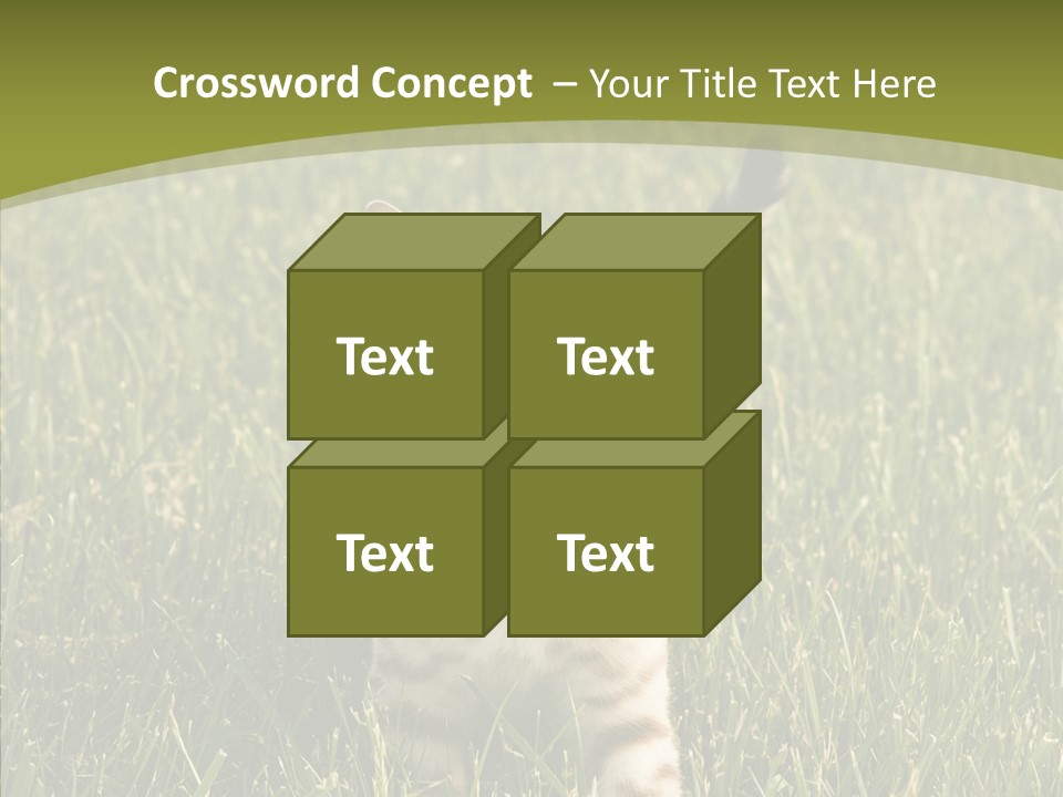 Tree Baby Breed PowerPoint Template