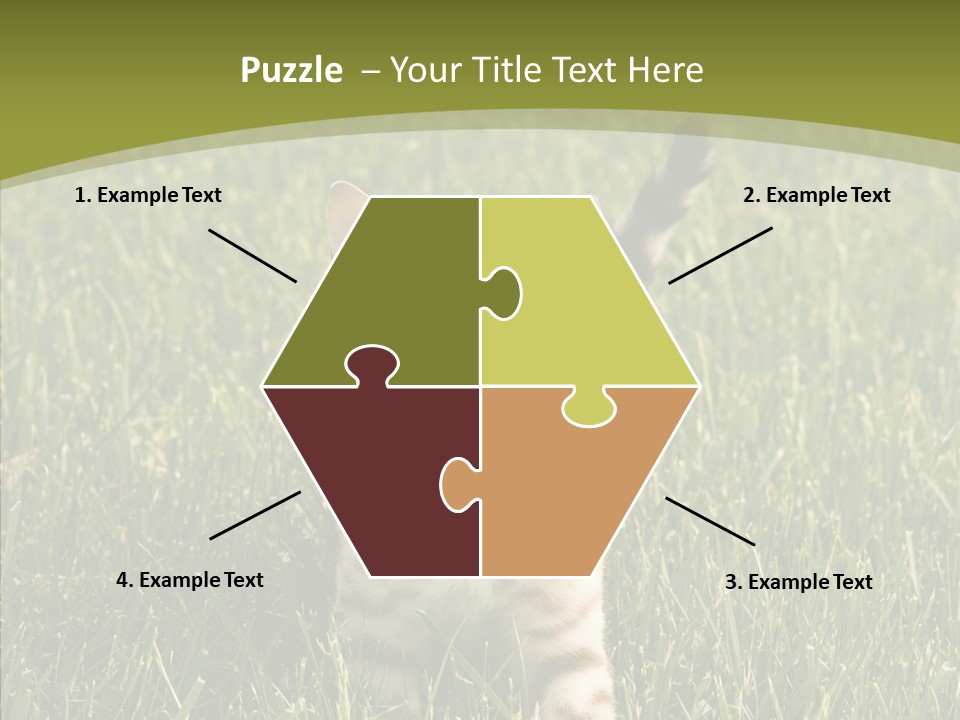 Tree Baby Breed PowerPoint Template