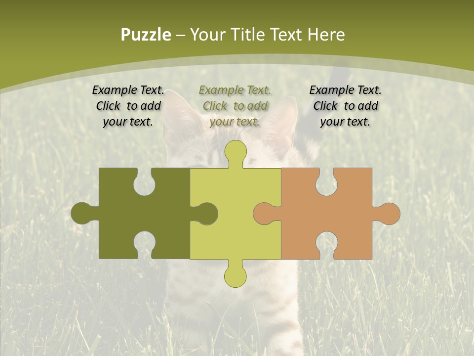 Tree Baby Breed PowerPoint Template