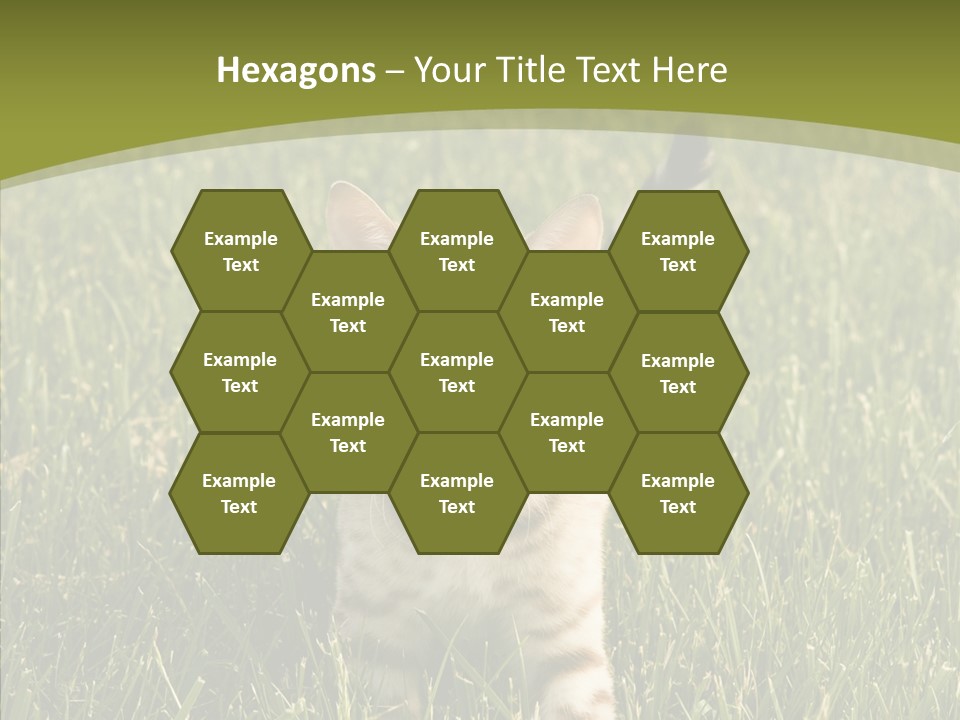 Tree Baby Breed PowerPoint Template