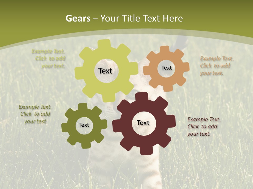 Tree Baby Breed PowerPoint Template