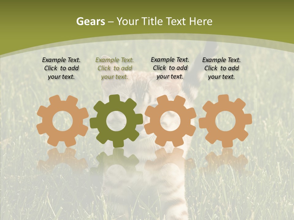 Tree Baby Breed PowerPoint Template