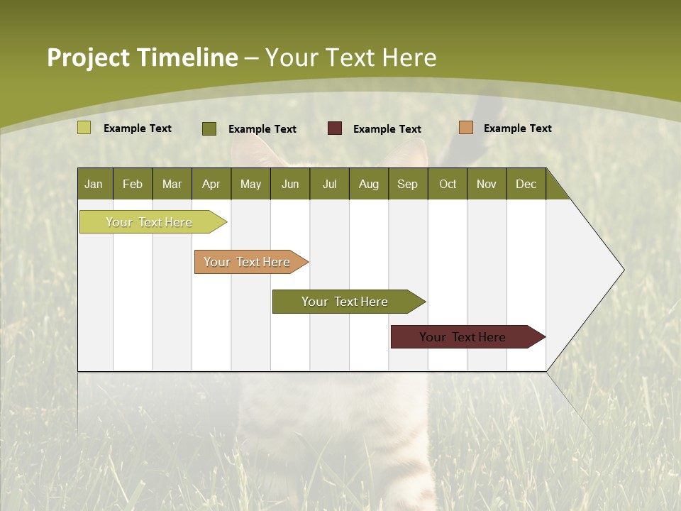 Tree Baby Breed PowerPoint Template