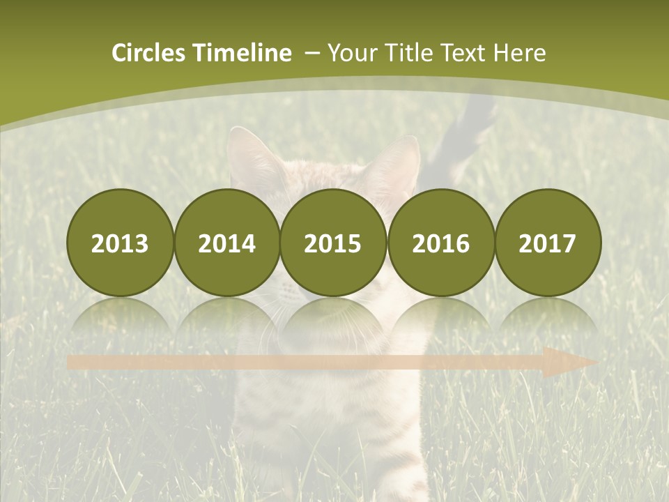 Tree Baby Breed PowerPoint Template