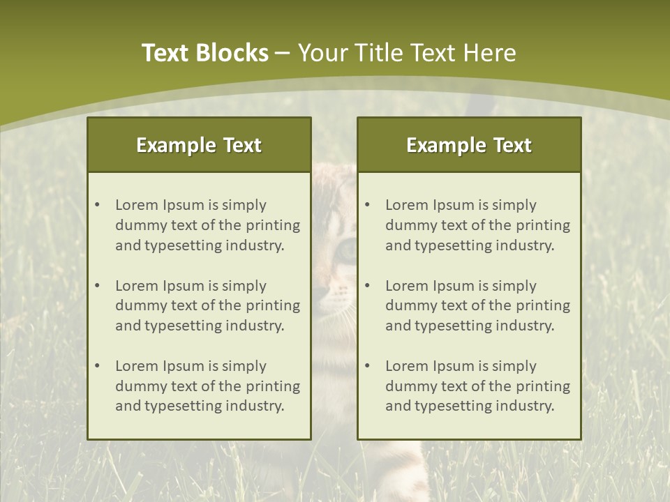 Tree Baby Breed PowerPoint Template