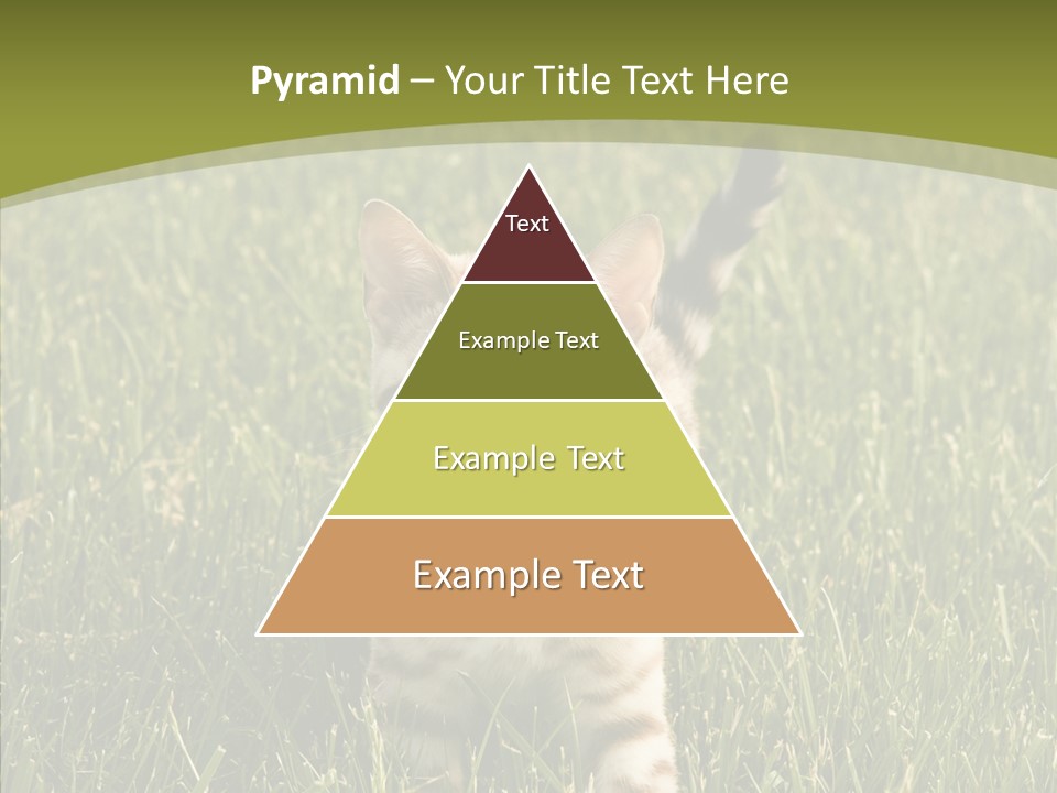 Tree Baby Breed PowerPoint Template