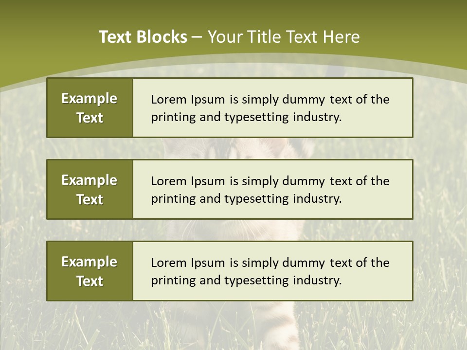 Tree Baby Breed PowerPoint Template