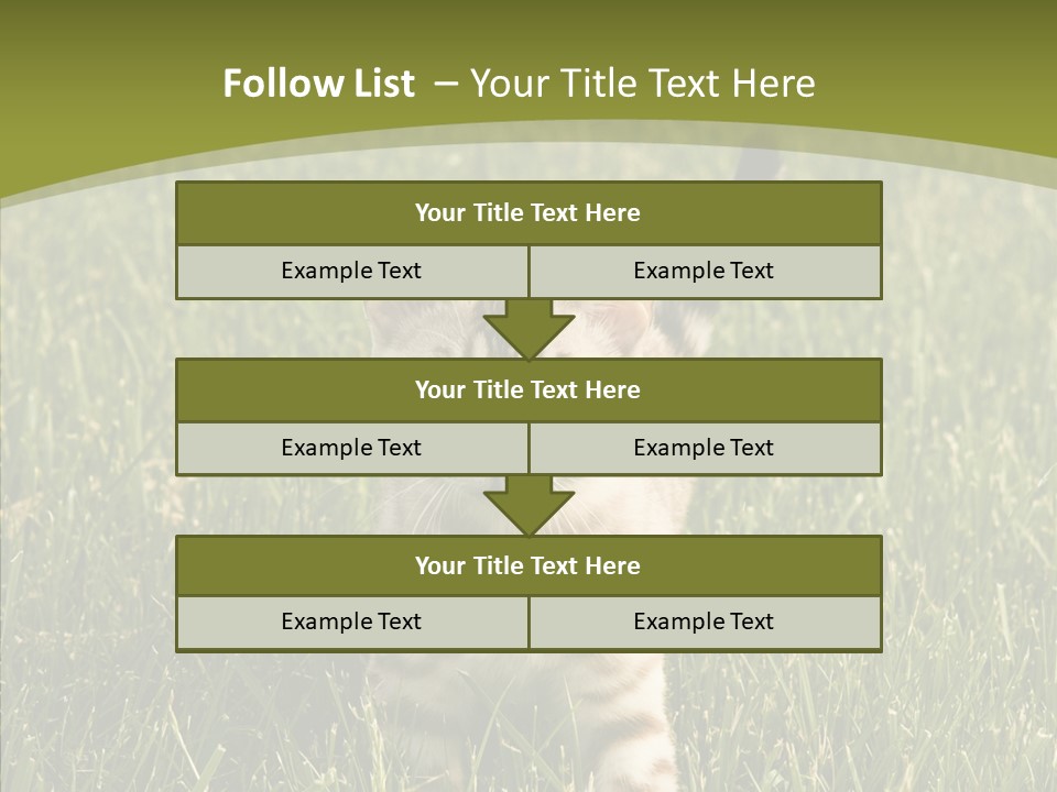 Tree Baby Breed PowerPoint Template