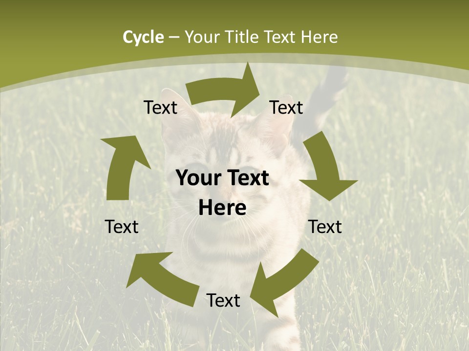 Tree Baby Breed PowerPoint Template