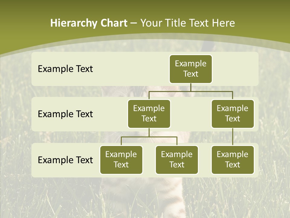 Tree Baby Breed PowerPoint Template