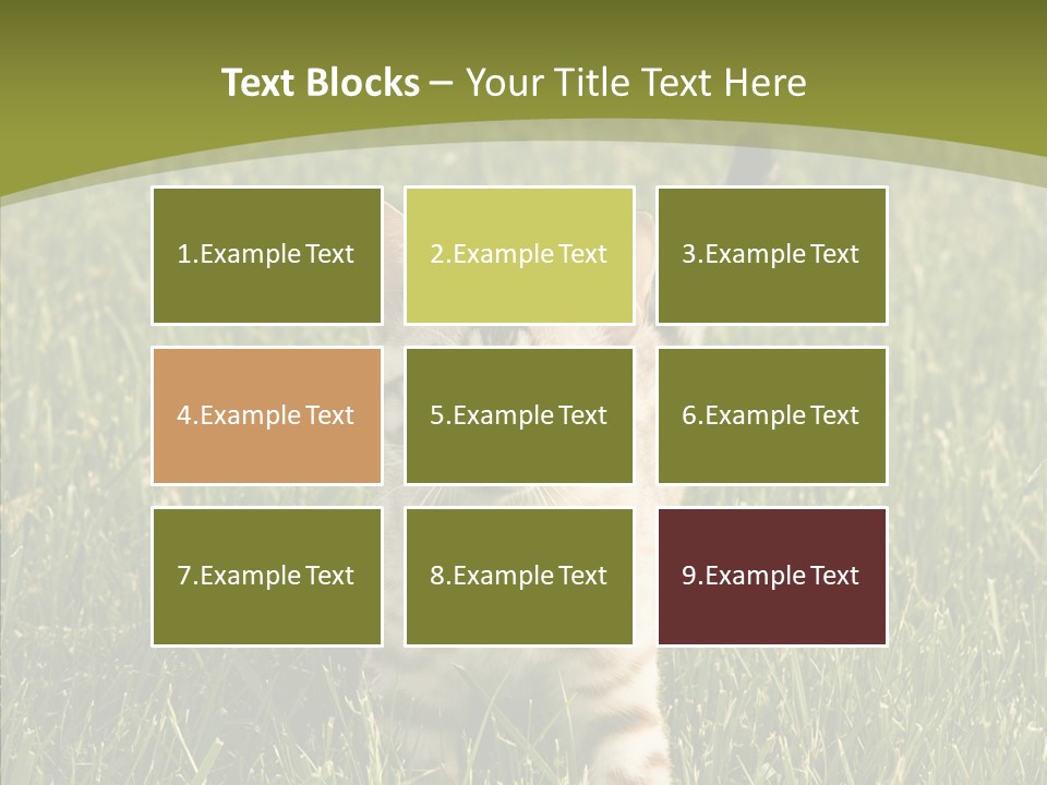 Tree Baby Breed PowerPoint Template
