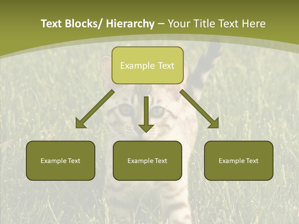 Tree Baby Breed PowerPoint Template