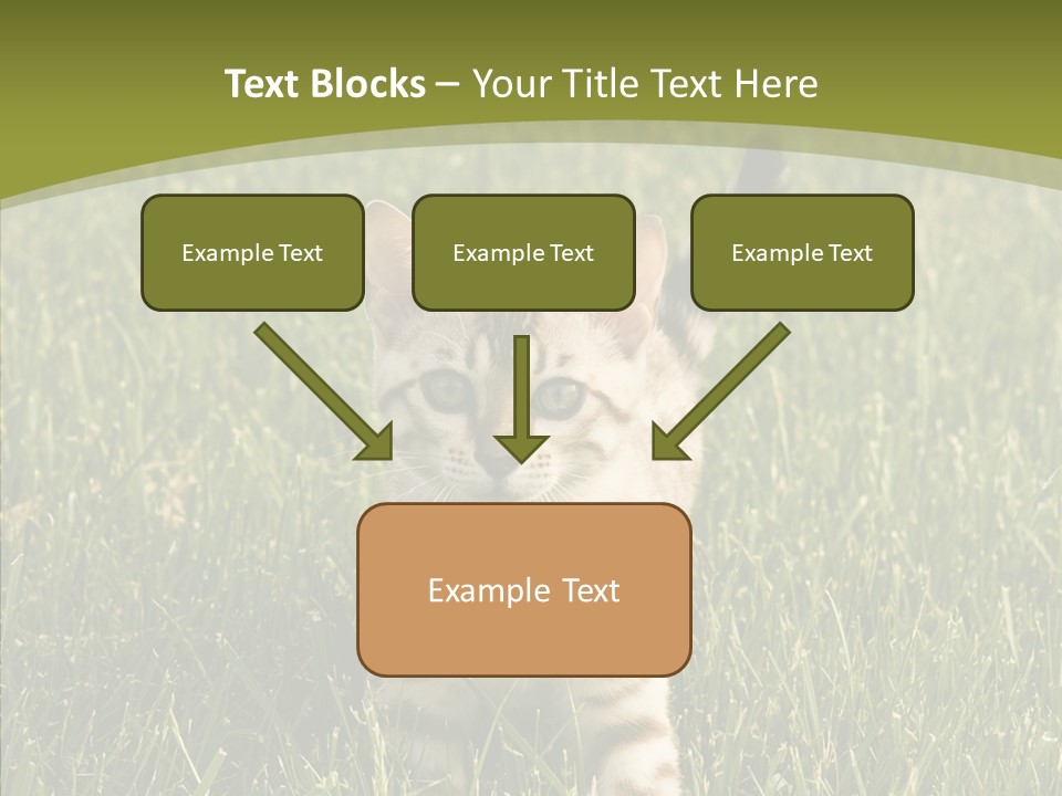 Tree Baby Breed PowerPoint Template