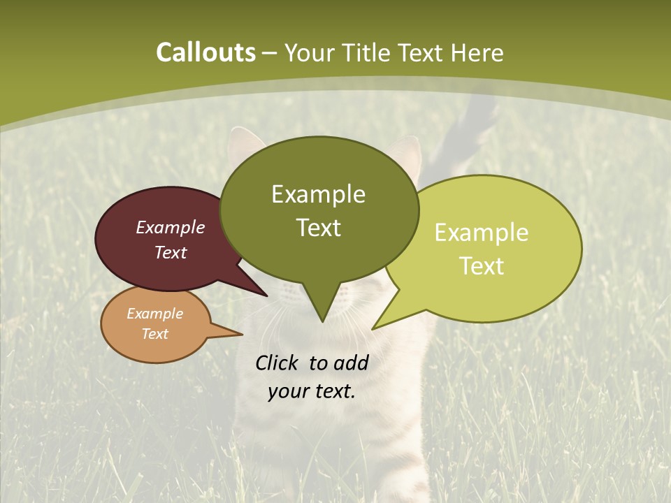 Tree Baby Breed PowerPoint Template