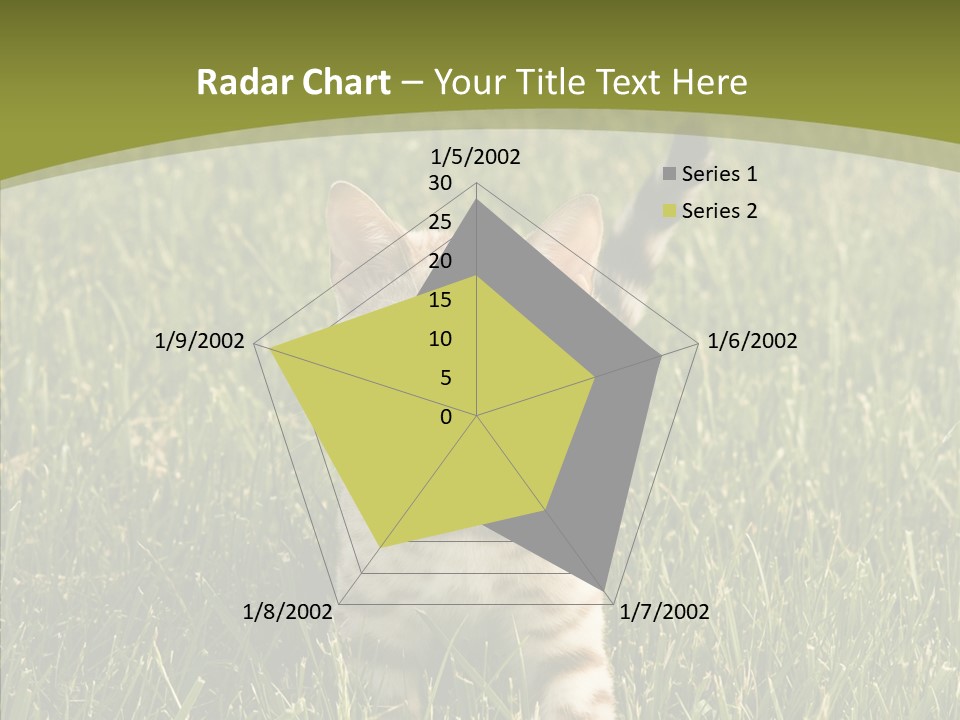 Tree Baby Breed PowerPoint Template