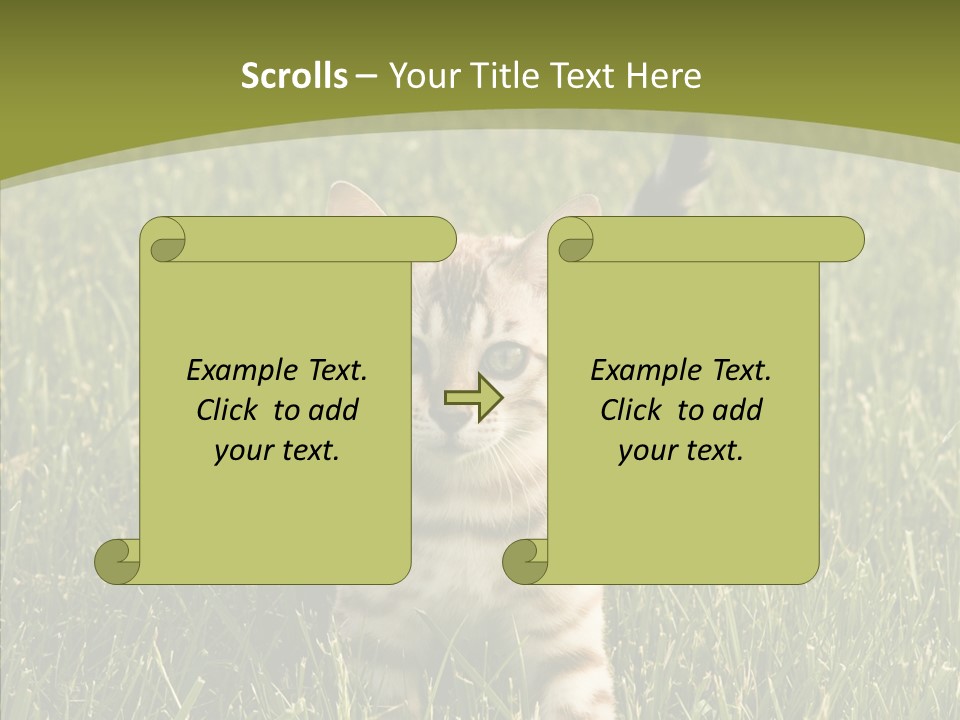 Tree Baby Breed PowerPoint Template