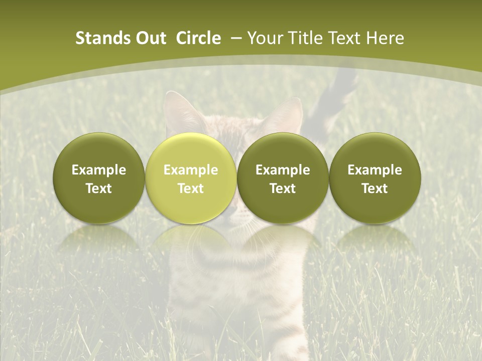 Tree Baby Breed PowerPoint Template