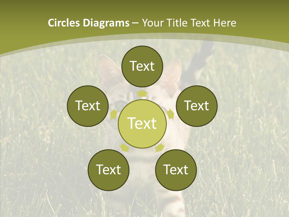 Tree Baby Breed PowerPoint Template