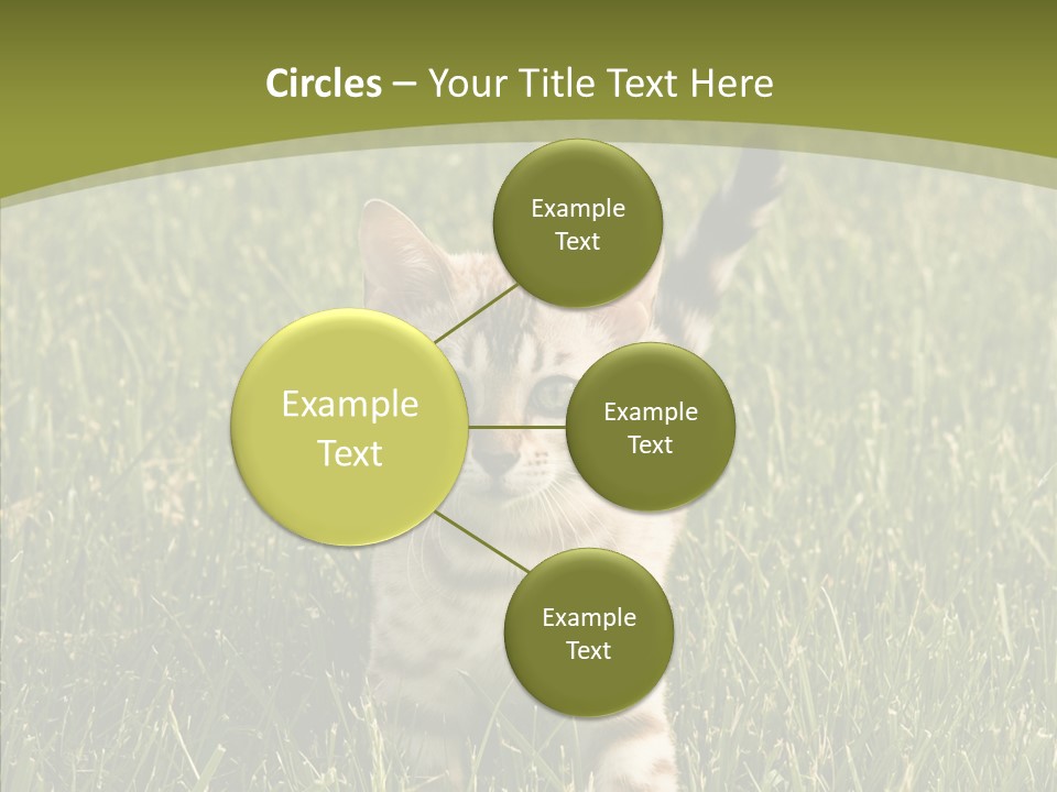 Tree Baby Breed PowerPoint Template