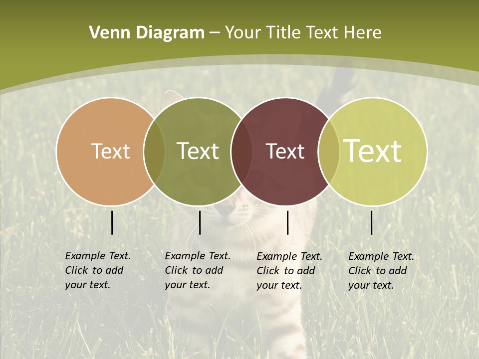 Tree Baby Breed PowerPoint Template