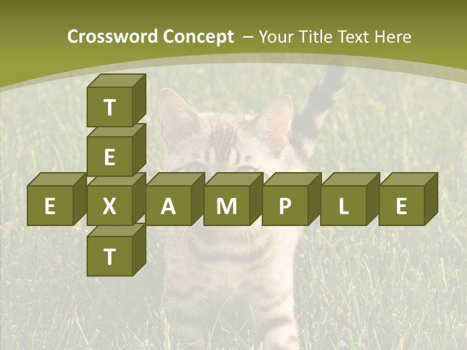 Tree Baby Breed PowerPoint Template