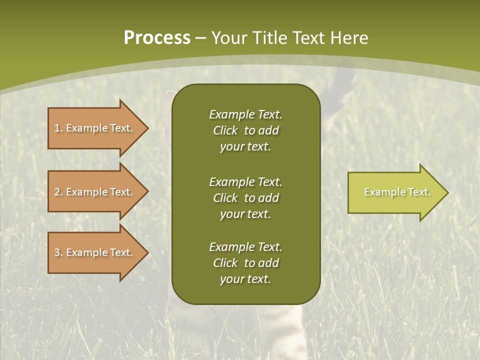 Tree Baby Breed PowerPoint Template