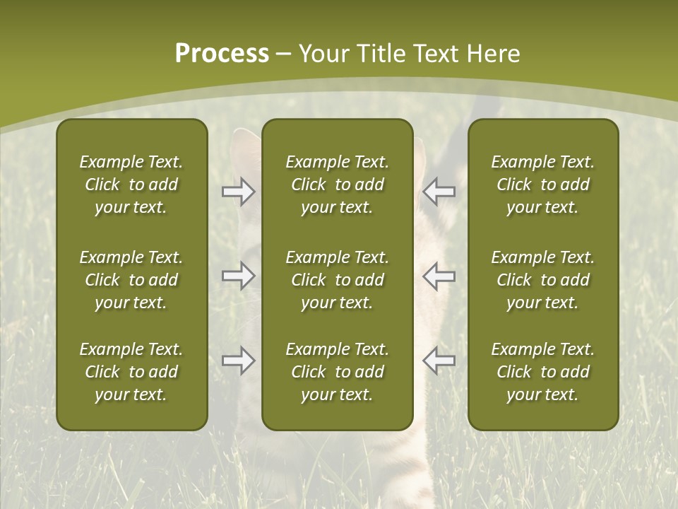 Tree Baby Breed PowerPoint Template