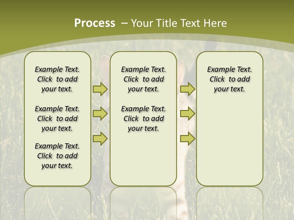 Tree Baby Breed PowerPoint Template